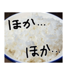 米しか勝たん…おいしいごはん（個別スタンプ：18）