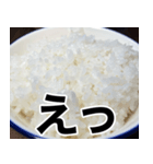 米しか勝たん…おいしいごはん（個別スタンプ：21）