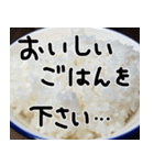 米しか勝たん…おいしいごはん（個別スタンプ：23）