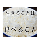 米しか勝たん…おいしいごはん（個別スタンプ：28）