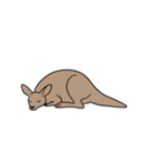 シュールなカンガルーのスタンプ（個別スタンプ：8）