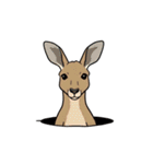 シュールなカンガルーのスタンプ（個別スタンプ：23）