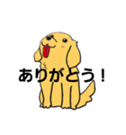 PINOJIROファミリー（個別スタンプ：4）