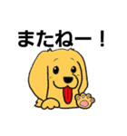 PINOJIROファミリー（個別スタンプ：24）