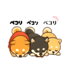 まめ柴ちゃん③（個別スタンプ：2）