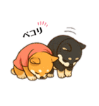 まめ柴ちゃん③（個別スタンプ：3）
