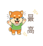 まめ柴ちゃん③（個別スタンプ：13）