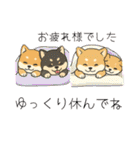 まめ柴ちゃん③（個別スタンプ：15）
