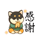 まめ柴ちゃん③（個別スタンプ：17）