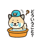 まめ柴ちゃん③（個別スタンプ：20）
