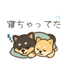 まめ柴ちゃん③（個別スタンプ：23）