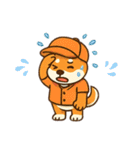 まめ柴ちゃん③（個別スタンプ：38）