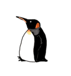 子供が描くかわいい癒やし動物と魚スタンプ（個別スタンプ：4）