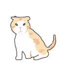 子供が描くかわいい癒やし動物と魚スタンプ（個別スタンプ：13）