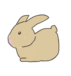子供が描くかわいい癒やし動物と魚スタンプ（個別スタンプ：23）