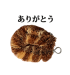 たわし の スタンプ（個別スタンプ：2）