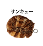 たわし の スタンプ（個別スタンプ：6）