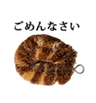 たわし の スタンプ（個別スタンプ：13）