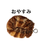 たわし の スタンプ（個別スタンプ：24）