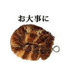 たわし の スタンプ（個別スタンプ：37）