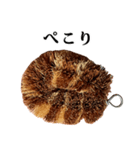 たわし の スタンプ（個別スタンプ：38）