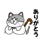 コロン様 【デブ猫 仙人】毎日使える（個別スタンプ：2）
