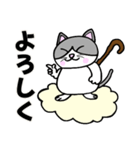コロン様 【デブ猫 仙人】毎日使える（個別スタンプ：3）