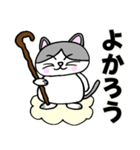 コロン様 【デブ猫 仙人】毎日使える（個別スタンプ：6）