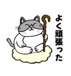 コロン様 【デブ猫 仙人】毎日使える（個別スタンプ：7）
