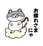 コロン様 【デブ猫 仙人】毎日使える（個別スタンプ：8）