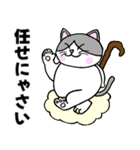 コロン様 【デブ猫 仙人】毎日使える（個別スタンプ：9）