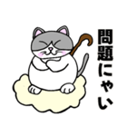コロン様 【デブ猫 仙人】毎日使える（個別スタンプ：11）