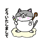 コロン様 【デブ猫 仙人】毎日使える（個別スタンプ：12）