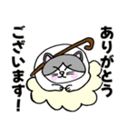 コロン様 【デブ猫 仙人】毎日使える（個別スタンプ：14）