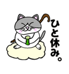 コロン様 【デブ猫 仙人】毎日使える（個別スタンプ：16）