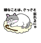 コロン様 【デブ猫 仙人】毎日使える（個別スタンプ：17）