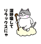 コロン様 【デブ猫 仙人】毎日使える（個別スタンプ：18）
