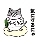 コロン様 【デブ猫 仙人】毎日使える（個別スタンプ：20）