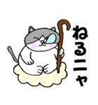 コロン様 【デブ猫 仙人】毎日使える（個別スタンプ：23）