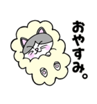 コロン様 【デブ猫 仙人】毎日使える（個別スタンプ：24）