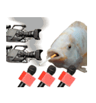 クールな魚！！！（個別スタンプ：4）