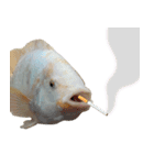 クールな魚！！！（個別スタンプ：11）