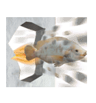 クールな魚！！！（個別スタンプ：20）