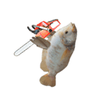 クールな魚！！！（個別スタンプ：22）