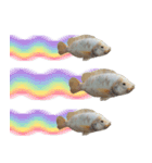 クールな魚！！！（個別スタンプ：26）