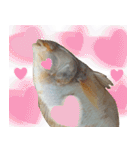 クールな魚！！！（個別スタンプ：27）