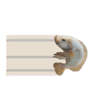 クールな魚！！！（個別スタンプ：29）