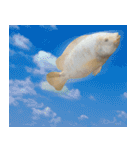 クールな魚！！！（個別スタンプ：38）