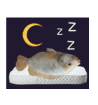 クールな魚！！！（個別スタンプ：39）