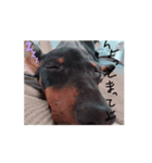 ウル太郎スタンプ（個別スタンプ：1）